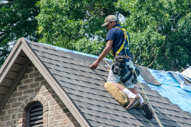 Best Roof Gutter Cleaning  in Muscatine, IA