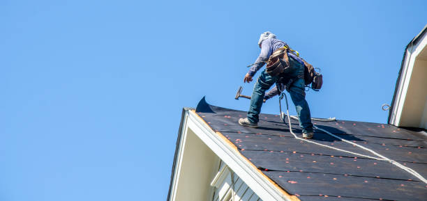 Best Best Roofing Contractors  in Muscatine, IA